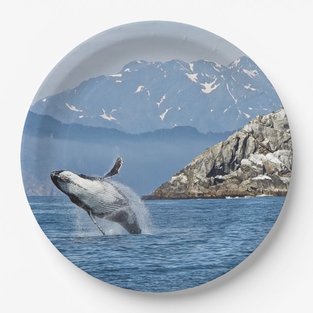 Prato De Papel Alaska Humpback Whale Wildlife Photo (Frente)