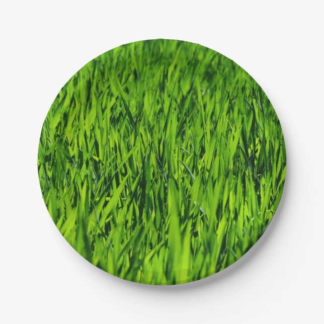 Prato De Papel Altas lâminas de grama (Frente)