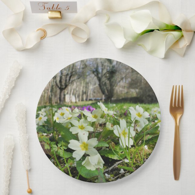 Prato De Papel Aluguer de placa de papel Primavera (Casamento)