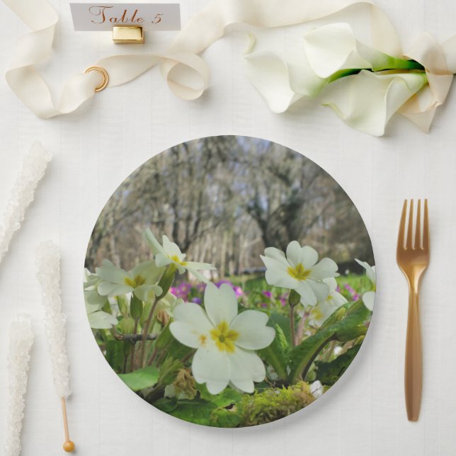 Prato De Papel Aluguer de placa de papel Primavera (Casamento)