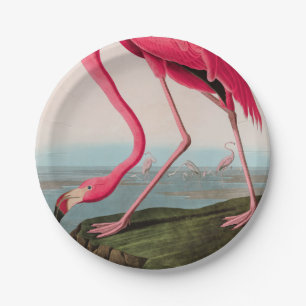 Prato De Papel American Flamingo Birds of America Audubon Impress