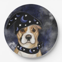 AMERICANO STAFFORDSHIRE TERRIER