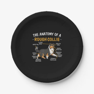 Prato De Papel Anatomia Engraçada De Collie Duro Para Pássaros De