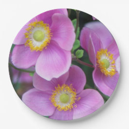 Prato De Papel Anemones japoneses cor-de-rosa