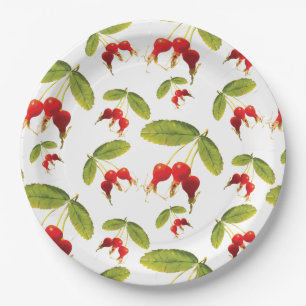 Prato De Papel Ângulos de Padrão de Roseqos 4