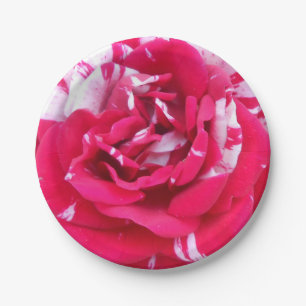 Prato De Papel Anicia