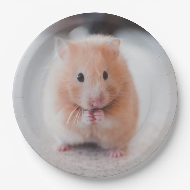 Prato De Papel Animais de amores de hamster (Frente)