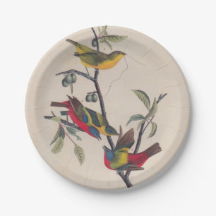 Prato De Papel Animais Selvagens de Aves Pintadas com Audubon