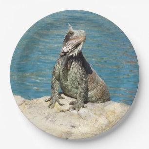 Prato De Papel Animais selvagens tropicais da iguana