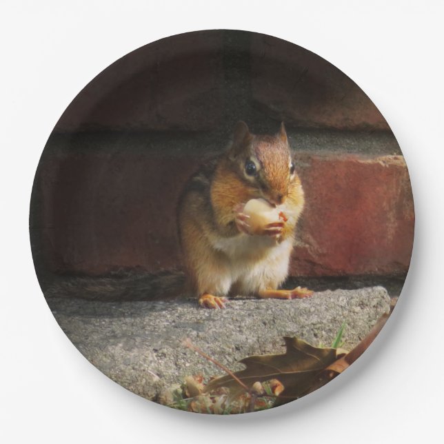 Prato De Papel Animal - Chipmunk - É tudo meu (Frente)