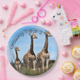 Prato De Papel Aniversário da Família de Girafas Crescendo Alto