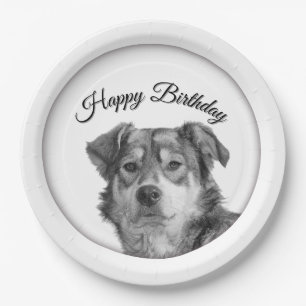 Prato De Papel Aniversário de Canino de Raça Mista Monocromática 