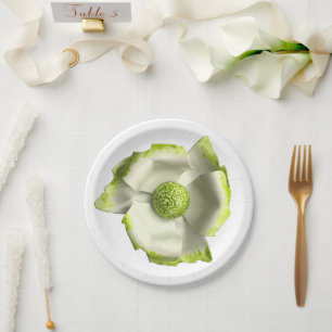 Prato De Papel Aniversário de Casamento de Verão com Primavera de