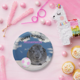 Prato De Papel Aniversário de criança Guiné Pink Ball Personaliza
