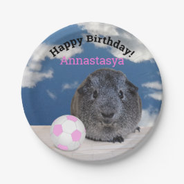 Prato De Papel Aniversário de criança Guiné Pink Ball Personaliza