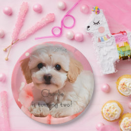 Prato De Papel Aniversário do Cachorro Vamos Fazer uma Festa
