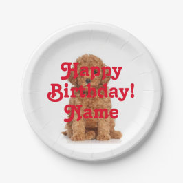 Prato De Papel Aniversário do Nome Personalizado e da Fotografia