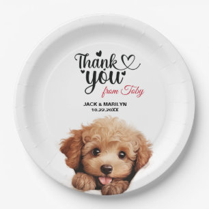 Prato De Papel Apricot Poodle Casamento Obrigado