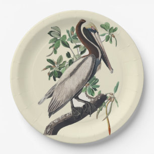 Prato De Papel Arte de Ave Costeira de Pelicano Marrom Vintage Au
