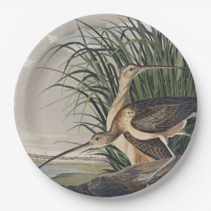 Prato De Papel Arte de Ave Vintage Audubon Maçarico-de-bico-curvo