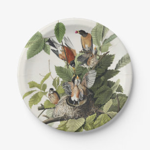 Prato De Papel Arte de ninho de pássaro do antigo Robin Americano