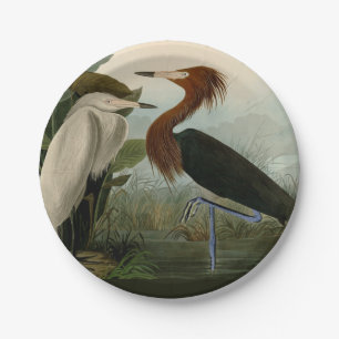 Prato De Papel Arte de Pássaro: Gravura do Garça Roxa de Audubon:
