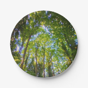 Prato De Papel Árvores verdes folhosas, no bosque