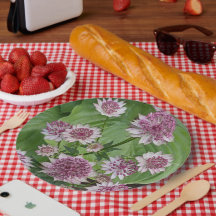 Astrantia Rosa Blooms Floral