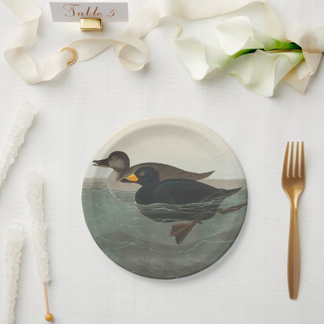 Prato De Papel Audubon American Scoter Duck Classic (Casamento)