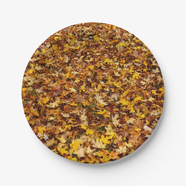 Prato De Papel Autumn Leaves Abstrato (Frente)