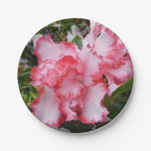Prato De Papel Azaleas Primavera Floral, Vermelhas Duplas e Branc