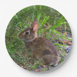 Prato De Papel Babby Bunny Paper Plate