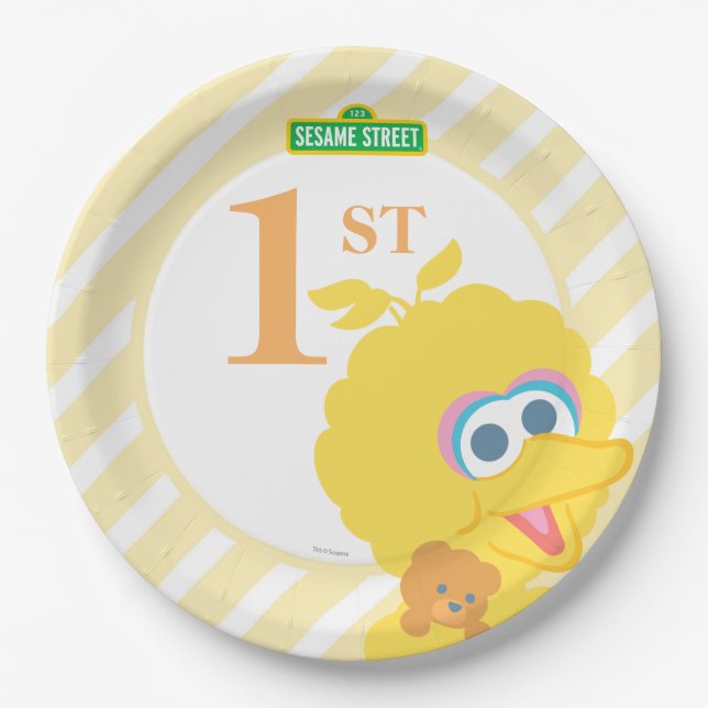 Prato De Papel Baby Big Bird Birday (Frente)