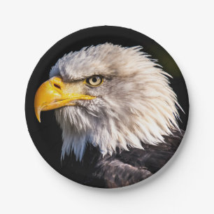 Prato De Papel Bald Eagle