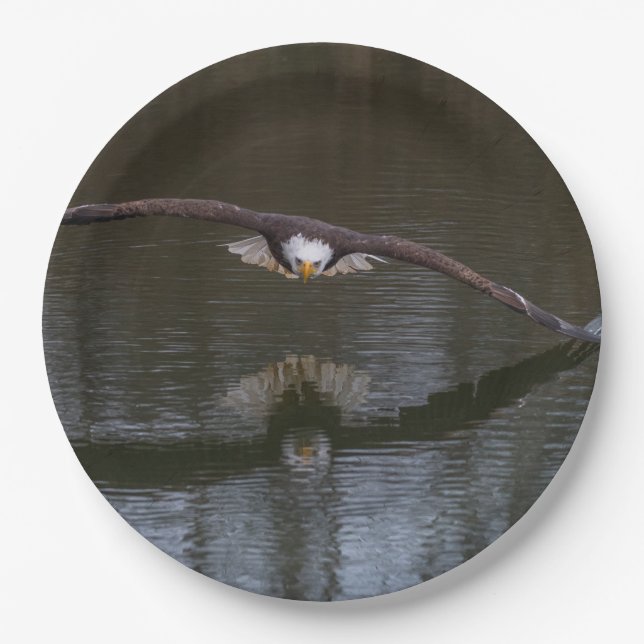 Prato De Papel Bald Eagle em Voo (Frente)