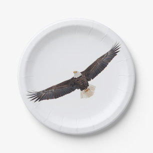 Prato De Papel Bald Eagle em voo