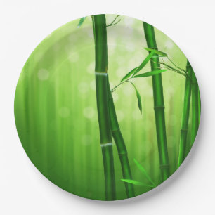 Prato De Papel Bambu verde com luzes pálidas de Bokeh na parte
