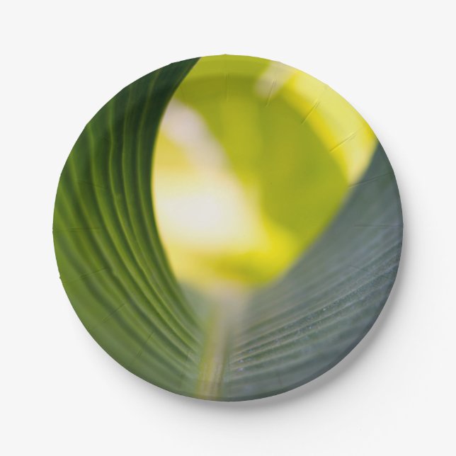 Prato De Papel Banana Leaf (Frente)