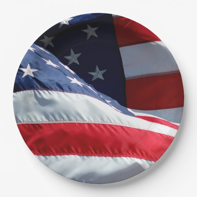 Prato De Papel Bandeira Americana (Frente)