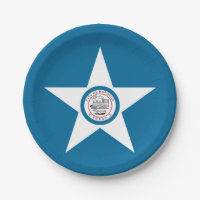 Bandeira da cidade de Houston, Texas Paper Plates