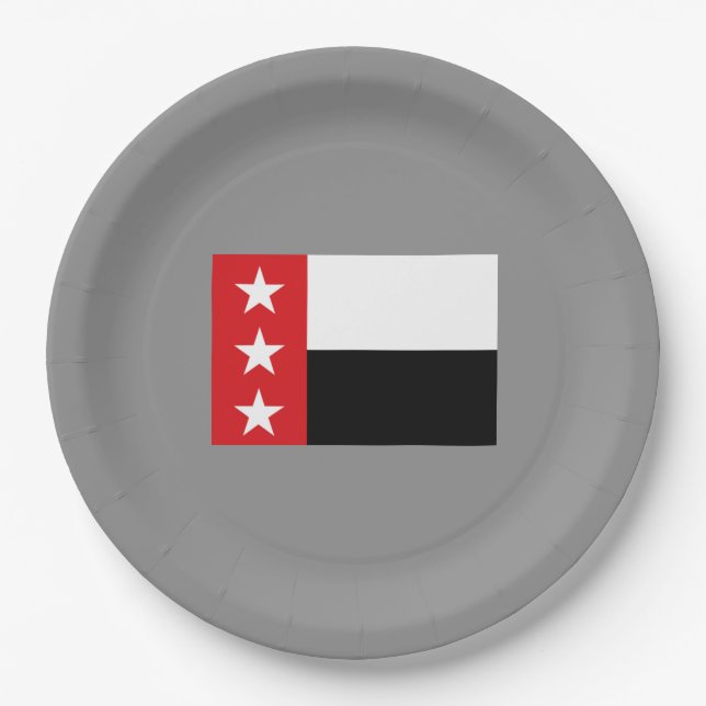 Prato De Papel Bandeira de Laredo (Texas) (Frente)