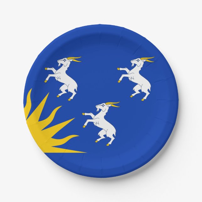 Prato De Papel Bandeira de Merionethshire Paper Plates (Frente)