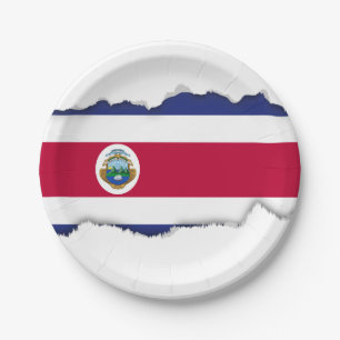 Prato De Papel Bandeira de Rican da costela