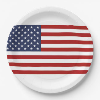 Prato De Papel Bandeira dos Estados Unidos da América