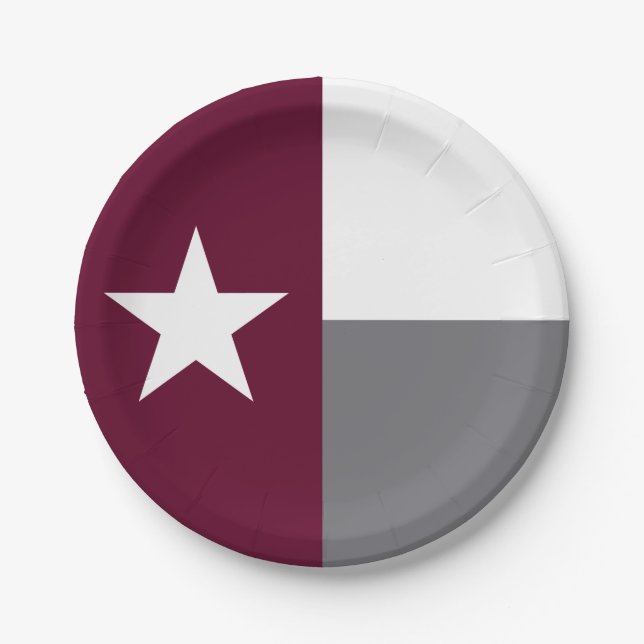 Prato De Papel Bandeira marrom de Texas (Frente)
