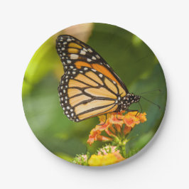 Prato De Papel base de cartão foto borboleta sobre uma flor