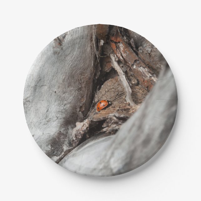 Prato De Papel Base de cartão foto de um joaninha (Frente)