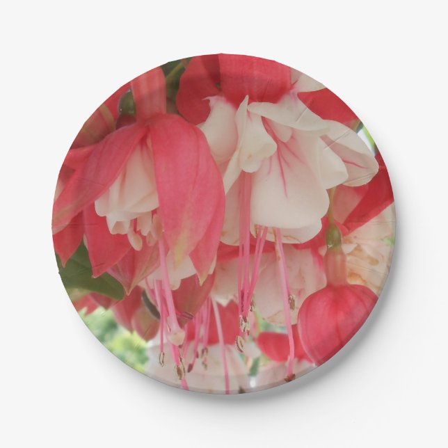 Prato De Papel Bashkirtseff (Frente)