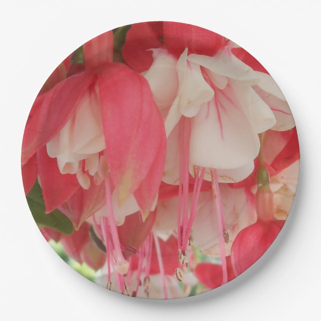 Prato De Papel Bashkirtseff (Frente)