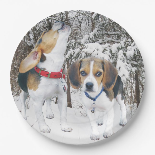 Prato De Papel Beagle Puppies no Snowy Woods (Frente)
